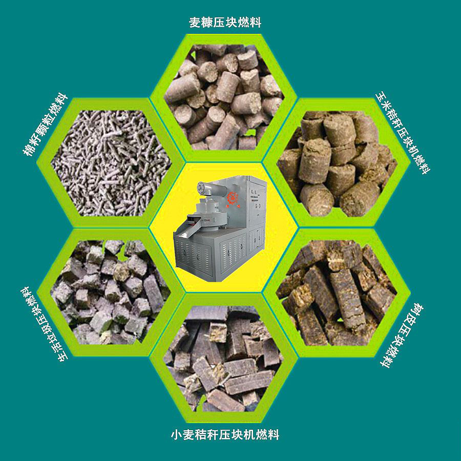 生物质能源成为世界发展的主流行业