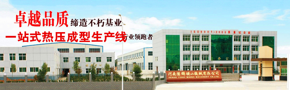 公司实力